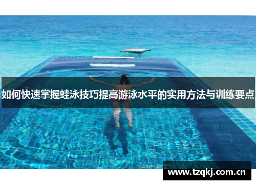如何快速掌握蛙泳技巧提高游泳水平的实用方法与训练要点