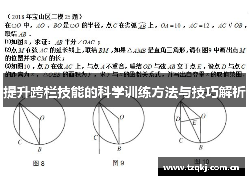提升跨栏技能的科学训练方法与技巧解析
