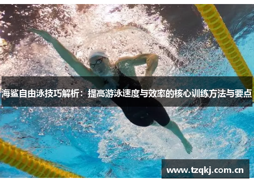 海鲨自由泳技巧解析：提高游泳速度与效率的核心训练方法与要点